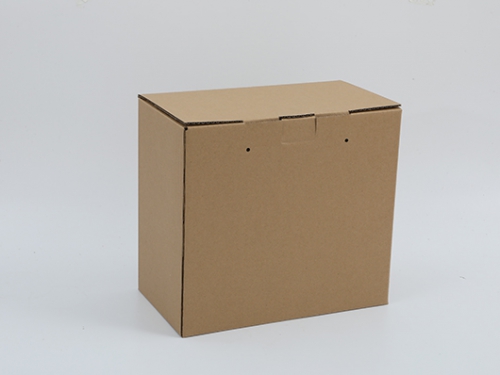 中山环保纸箱